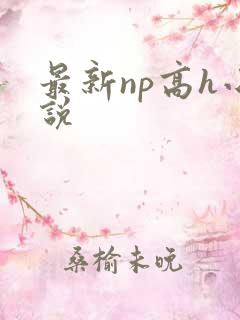 最新np高h小说