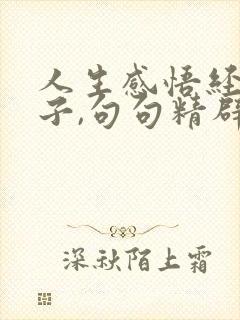 人生感悟经典句子,句句精辟入骨