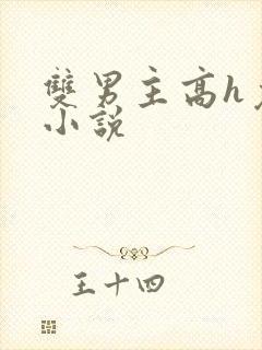 双男主高h免费小说