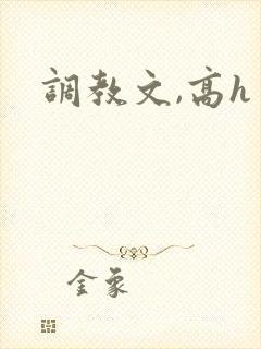 调教文,高h