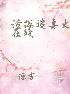 渣总追妻火葬场在线