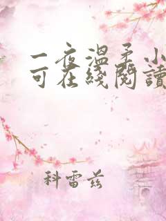 一夜温柔小说小可在线阅读