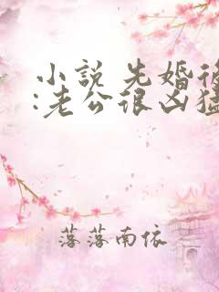 小说 先婚后爱:老公很凶猛