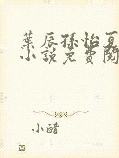 叶辰孙怡夏若雪小说免费阅读