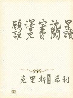 顾泽宇沈星晚小说免费阅读最新章节