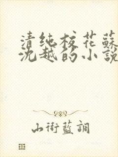 清纯校花苏软和沈越的小说