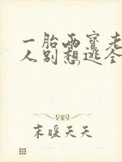 一胎两宝老婆大人别想逃全文阅读