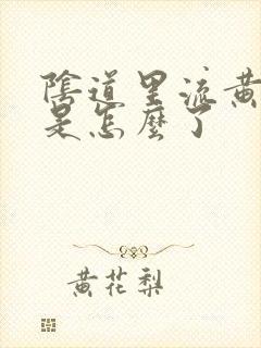 阴道里流黄水水是怎么了