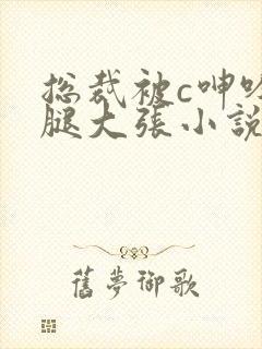 总裁被c呻吟双腿大张小说