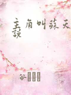 主角叫苏天的小说