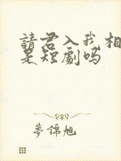 请君入我相思局是短剧吗