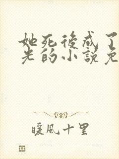 她死后成了白月光的小说免费阅读