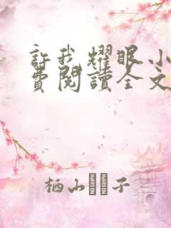 许我耀眼小说免费阅读全文