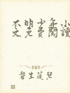 不明少年小说全文免费阅读笔趣阁