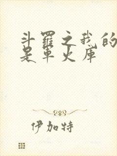 斗罗之我的武魂是军火库