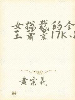 女总裁的全能兵王萧晨17k小说网