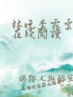 林晚李霖云小说在线阅读