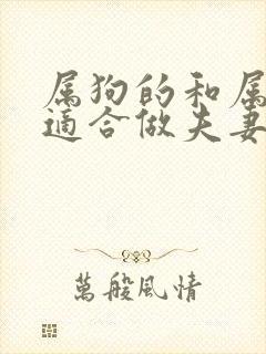 属狗的和属马的适合做夫妻吗?