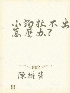 小狗拉不出来屎怎么办?