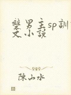 双男主sp训诫文小说