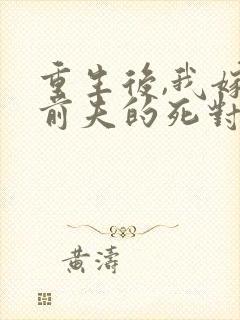 重生后,我嫁给前夫的死对头 短剧