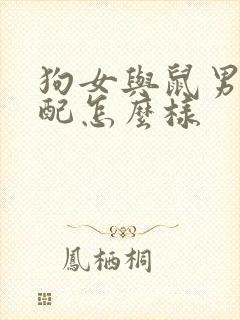 狗女与鼠男的婚配怎么样