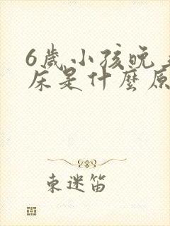 6岁小孩晚上尿床是什么原因