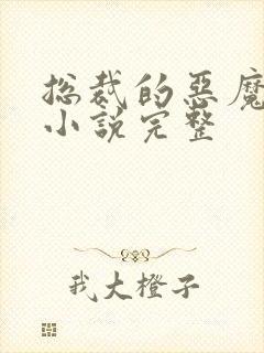 总裁的恶魔小妻小说完整