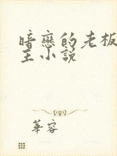 暗恋的老板是个主小说