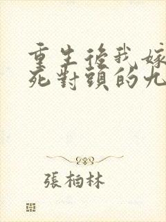 重生后我嫁给了死对头的九叔