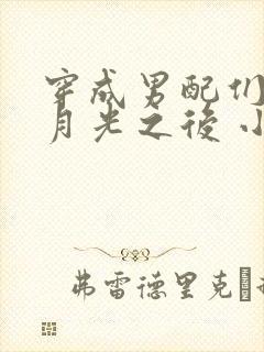 穿成男配们的白月光之后 小说