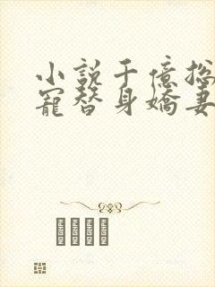 小说千亿总裁独宠替身娇妻全文阅读