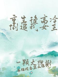 重生后高冷妻子倒追我女主