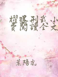 耀眼刑武小说免费阅读全文最新章节