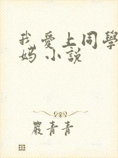 我爱上同学的妈妈 小说