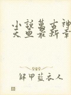 小说万古神帝飞天鱼最新章节目录