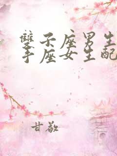 双子座男生和射手座女生配吗