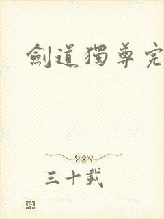 剑道独尊完全版