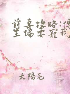 前妻攻略:傅先生偏要宠我的小说