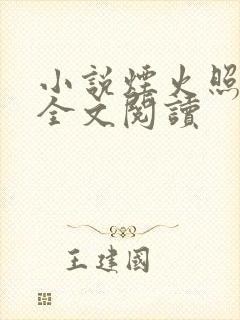 小说烟火照夜白全文阅读