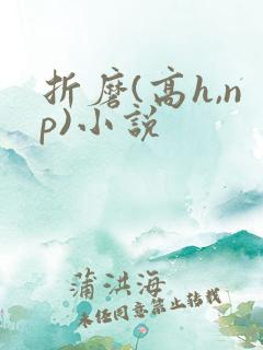 折磨(高h,np)小说