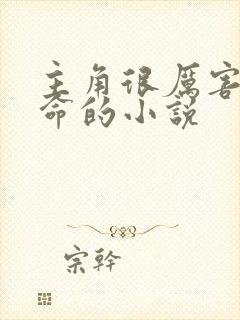 主角很厉害会算命的小说