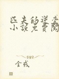 匹夫的逆袭全本小说免费阅读