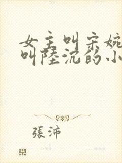 女主叫宋婉男主叫陆沉的小说