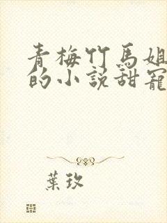 青梅竹马姐弟恋的小说甜宠文