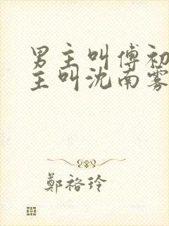 男主叫傅初安女主叫沈南雾的小说