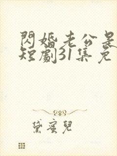 闪婚老公是豪门短剧31集免费观看