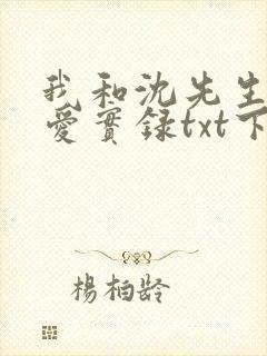 我和沈先生的恋爱实录txt下载