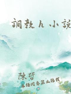 调教 h 小说