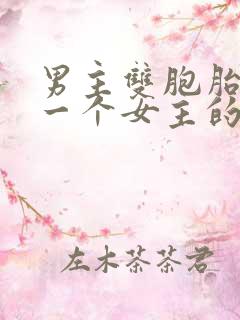 男主双胞胎喜欢一个女主的小说